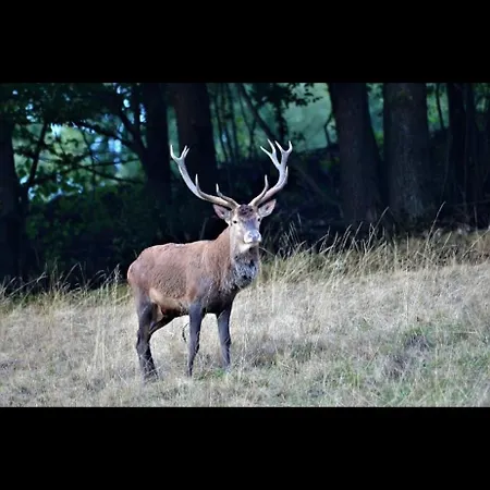 Διαμέρισμα Marie Rose