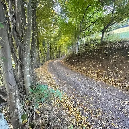 Marie Rose Διαμέρισμα Sainte-Marie-aux-Mines